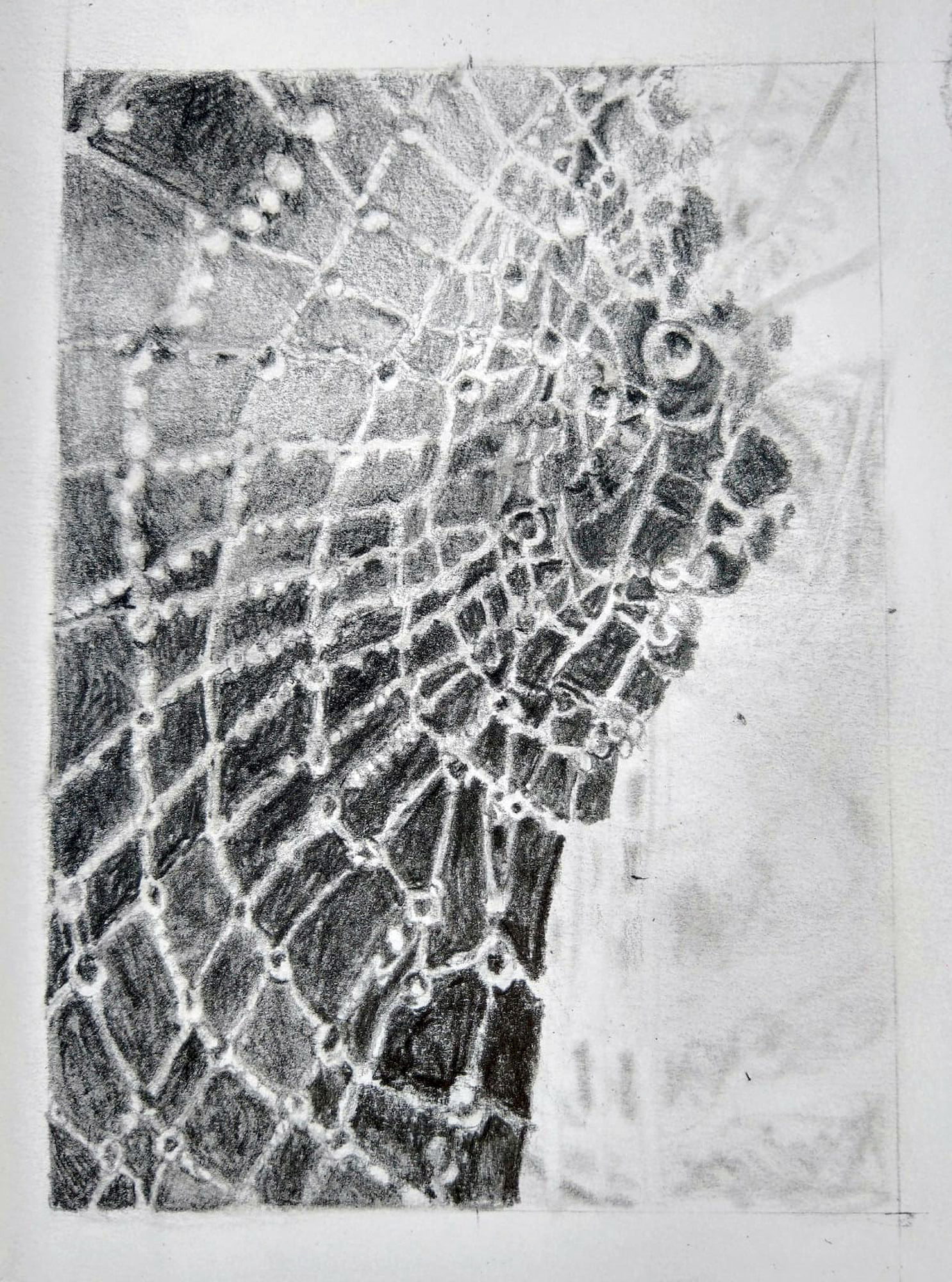 cobweb